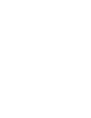 Netsoltech CMS 